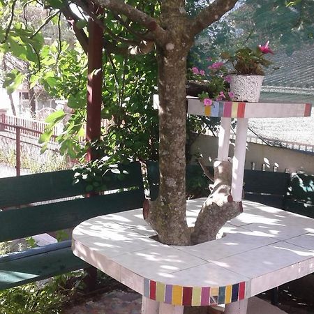Eleni Apartment Tivat Exterior photo