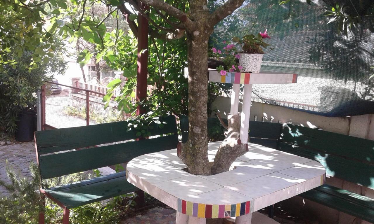 Eleni Apartment Tivat Exterior photo